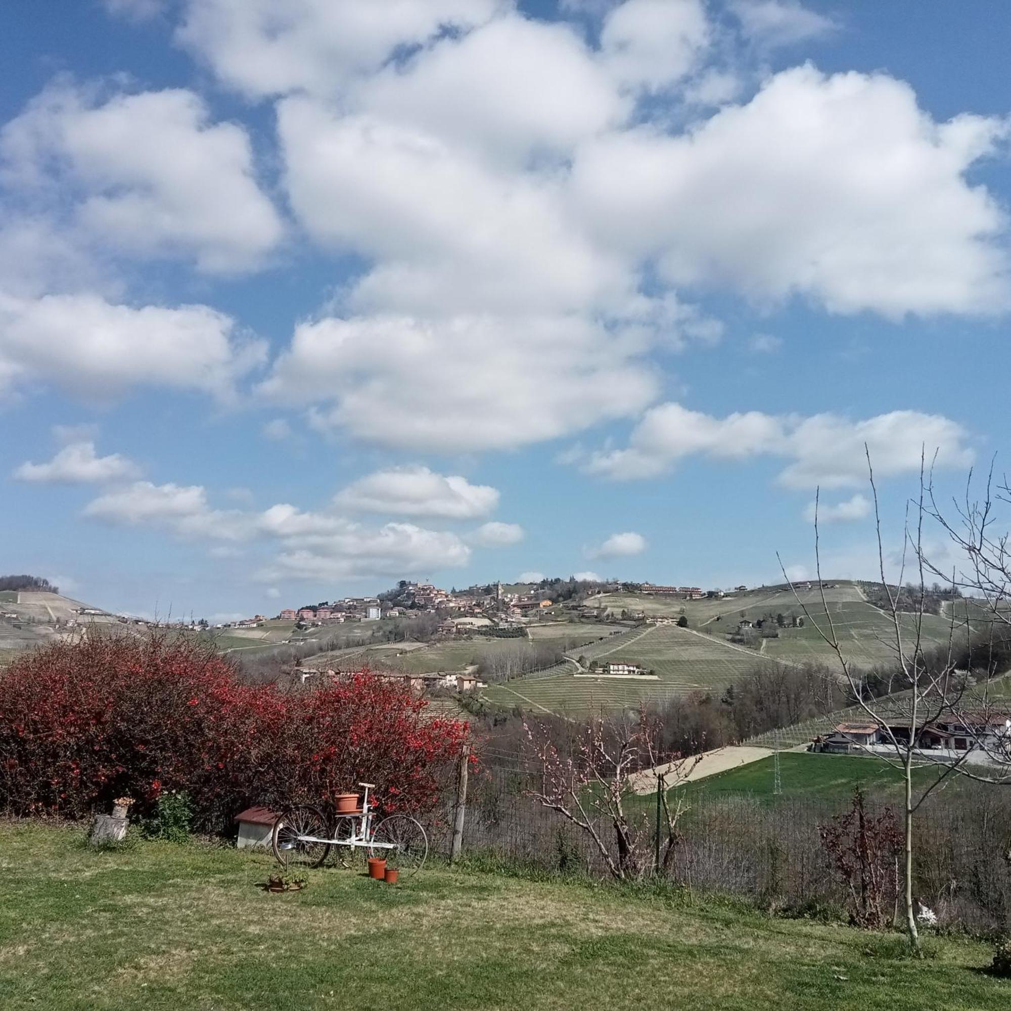 Agriturismo Bric Di Gai Monforte dʼAlba Quarto foto
